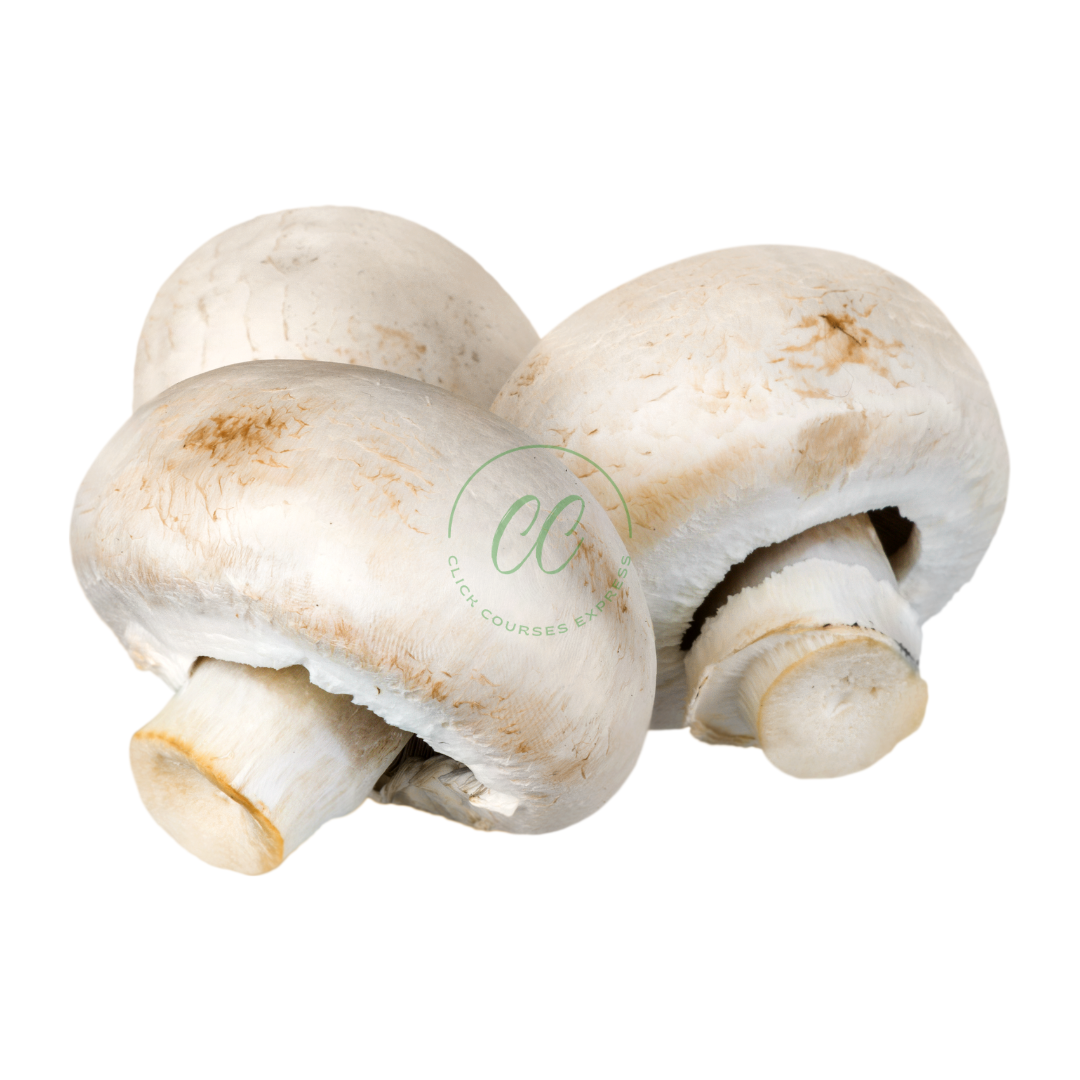 Champignons frais 250 Grs - فطر طري