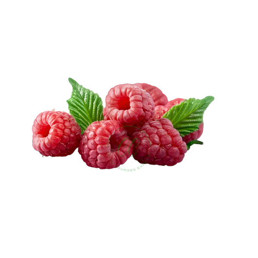 Framboises en barquette - فرمبواز