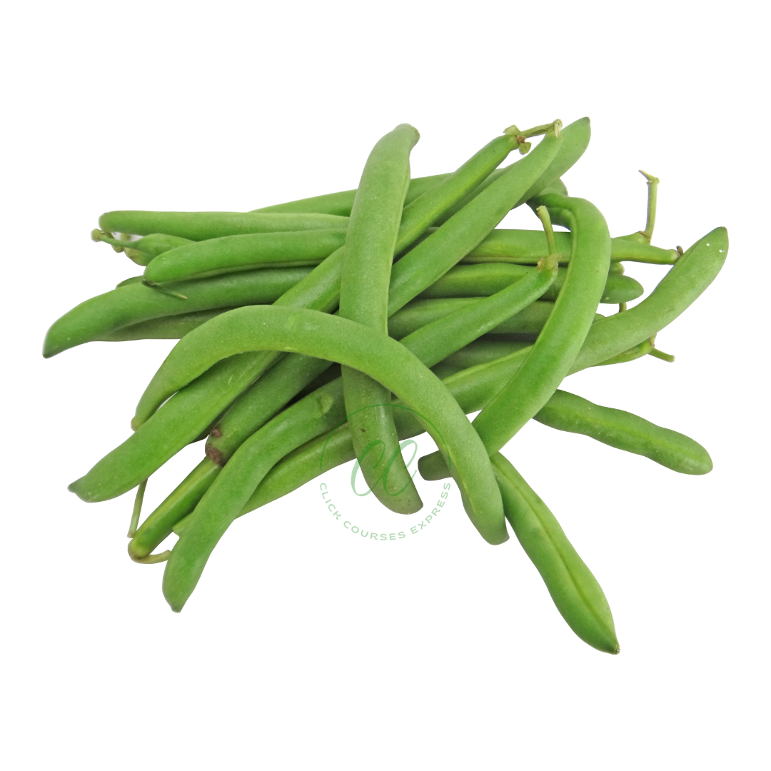 Haricots verts - لوبية خضراء