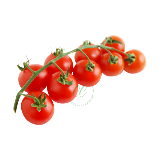 Tomates cerises - مطيشة سوريز